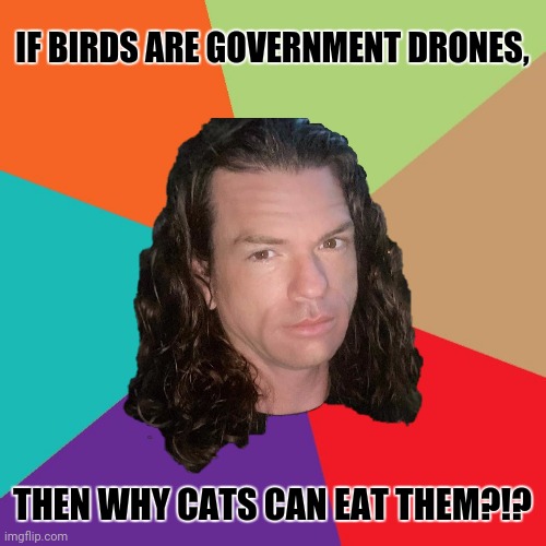 Mike Fellows advice animal | IF BIRDS ARE GOVERNMENT DRONES, THEN WHY CATS CAN EAT THEM?!? | image tagged in memes,lolcats,birds of a feather | made w/ Imgflip meme maker