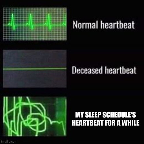if sleep schedules have heartbeats... | MY SLEEP SCHEDULE'S HEARTBEAT FOR A WHILE | image tagged in memes,funny,heartbeat rate,no sleep | made w/ Imgflip meme maker