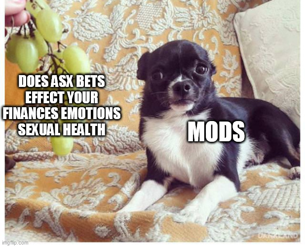 DOES ASX BETS EFFECT YOUR FINANCES EMOTIONS SEXUAL HEALTH; MODS | image tagged in ASX_Bets | made w/ Imgflip meme maker