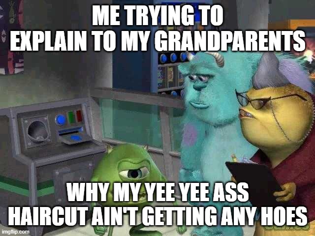 mellomrjelloYT | ME TRYING TO EXPLAIN TO MY GRANDPARENTS; WHY MY YEE YEE ASS HAIRCUT AIN'T GETTING ANY HOES | image tagged in mike wazowski trying to explain | made w/ Imgflip meme maker