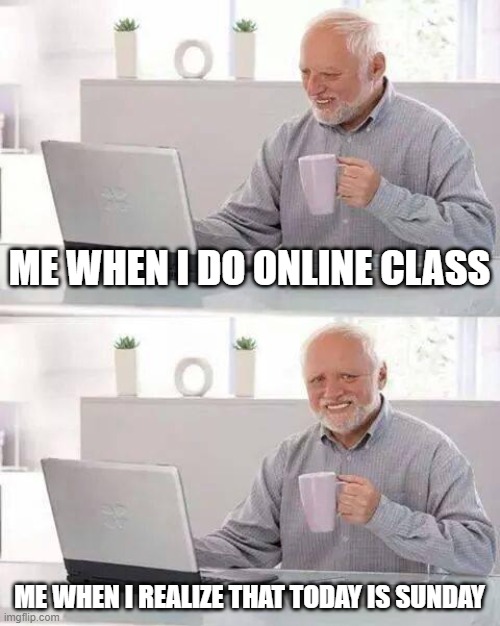 lol | ME WHEN I DO ONLINE CLASS; ME WHEN I REALIZE THAT TODAY IS SUNDAY | image tagged in memes,hide the pain harold | made w/ Imgflip meme maker