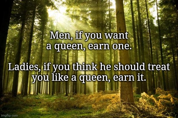 How it should be. | Men, if you want a queen, earn one.
 
Ladies, if you think he should treat you like a queen, earn it. | image tagged in sunlit forest,memes | made w/ Imgflip meme maker