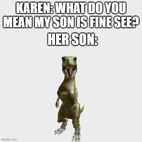 Karens Be like | KAREN: WHAT DO YOU MEAN MY SON IS FINE SEE? HER SON: | image tagged in memes,karen | made w/ Imgflip meme maker