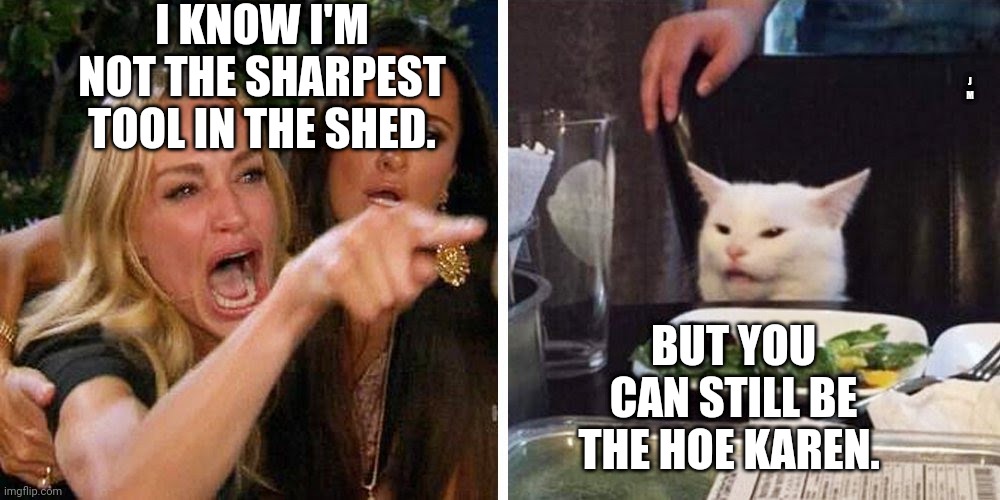 Smudge the cat | I KNOW I'M NOT THE SHARPEST TOOL IN THE SHED. J M; BUT YOU CAN STILL BE THE HOE KAREN. | image tagged in smudge the cat | made w/ Imgflip meme maker