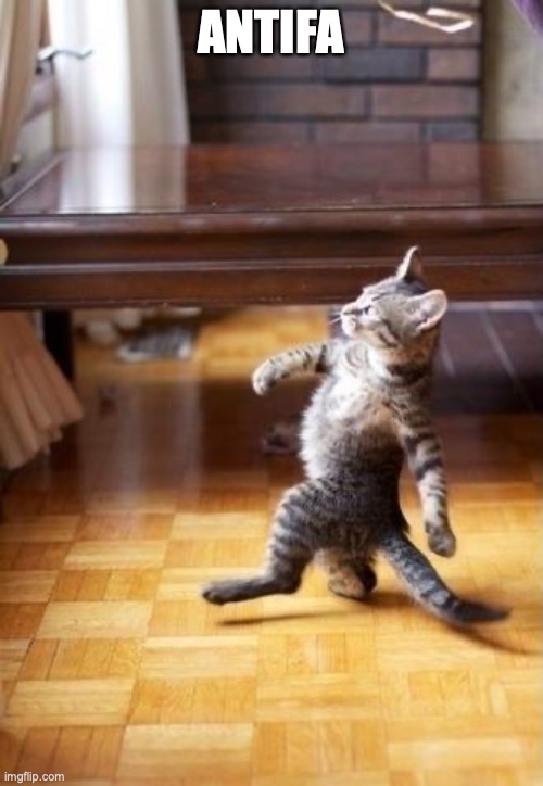 Cool Cat Stroll Meme | ANTIFA | image tagged in memes,cool cat stroll | made w/ Imgflip meme maker