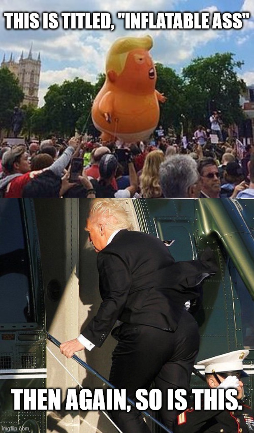 Inflatable Ass | THIS IS TITLED, "INFLATABLE ASS"; THEN AGAIN, SO IS THIS. | image tagged in trump 2020,trump,election 2020,inauguration day,funny memes,trump baby | made w/ Imgflip meme maker