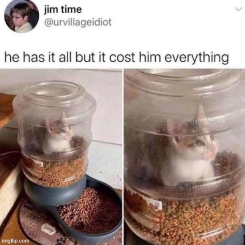 You made a wrong decision to hang there, poor kitten... | image tagged in cats,funny cats,wrong | made w/ Imgflip meme maker