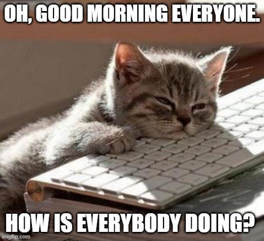 tired cat | OH, GOOD MORNING EVERYONE. HOW IS EVERYBODY DOING? | image tagged in tired cat | made w/ Imgflip meme maker