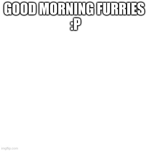 Blank Transparent Square | GOOD MORNING FURRIES 
:P | image tagged in memes,blank transparent square | made w/ Imgflip meme maker