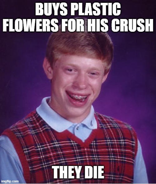 Bad Luck Brian Meme | BUYS PLASTIC FLOWERS FOR HIS CRUSH; THEY DIE | image tagged in memes,bad luck brian | made w/ Imgflip meme maker