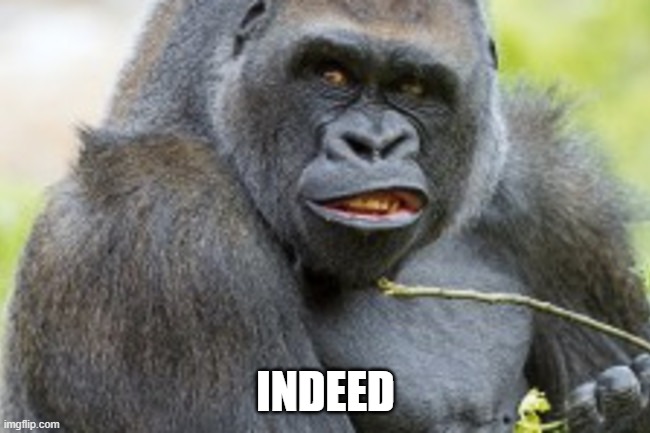 Indeed | INDEED | image tagged in funny | made w/ Imgflip meme maker