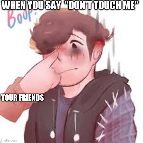 virgil sander, sander sides | WHEN YOU SAY  "DON'T TOUCH ME"; YOUR FRIENDS | image tagged in sanders | made w/ Imgflip meme maker