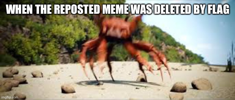 High Quality = No repost | WHEN THE REPOSTED MEME WAS DELETED BY FLAG | image tagged in crab rave | made w/ Imgflip meme maker