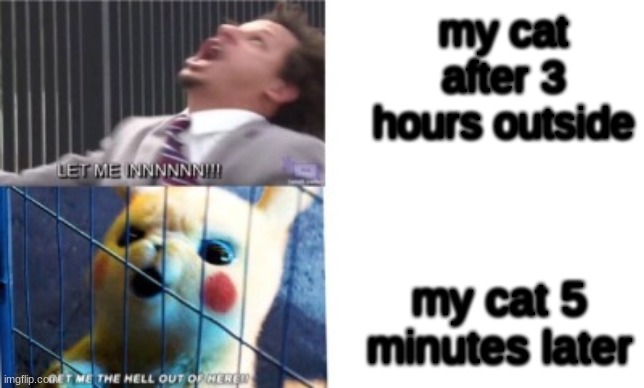Let Me In/Let Me Out | my cat after 3 hours outside; my cat 5 minutes later | image tagged in let me in/let me out | made w/ Imgflip meme maker