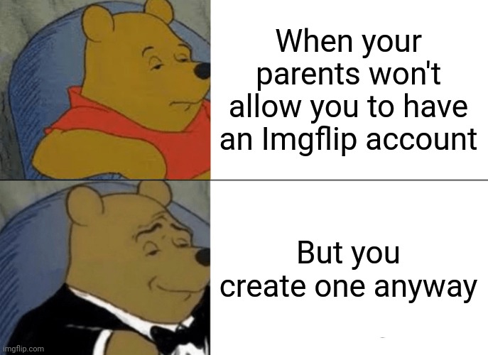 The rule-breaker | When your parents won't allow you to have an Imgflip account; But you create one anyway | image tagged in never gonna give you up,never gonna let you down | made w/ Imgflip meme maker