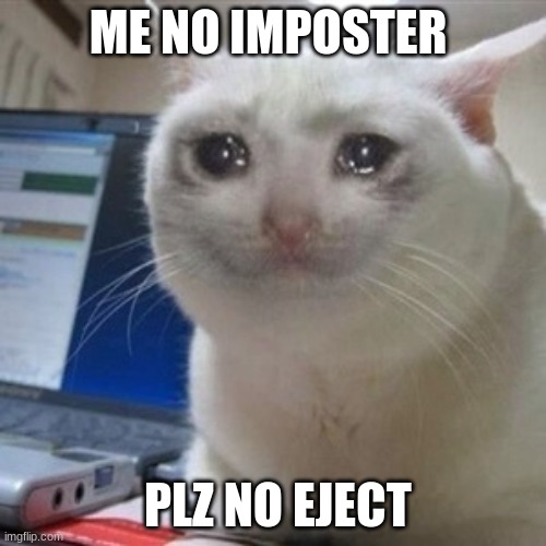 Crying cat | ME NO IMPOSTER; PLZ NO EJECT | image tagged in crying cat | made w/ Imgflip meme maker