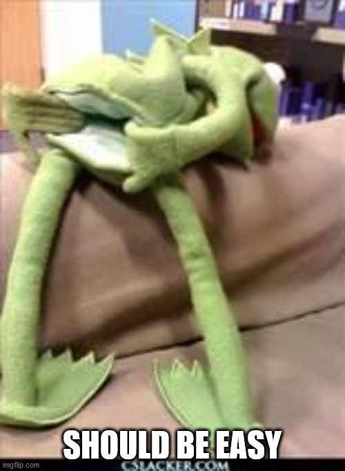 Gay kermit | SHOULD BE EASY | image tagged in gay kermit | made w/ Imgflip meme maker