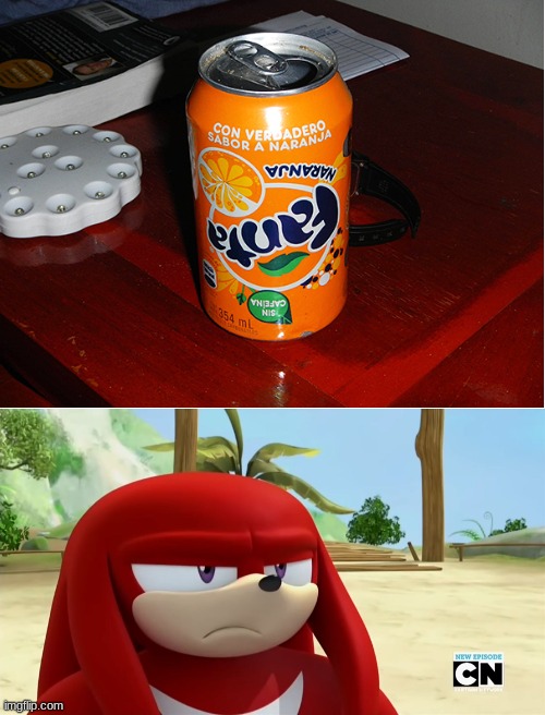 Really | image tagged in blank white template,knuckles is not impressed - sonic boom,you had one job | made w/ Imgflip meme maker