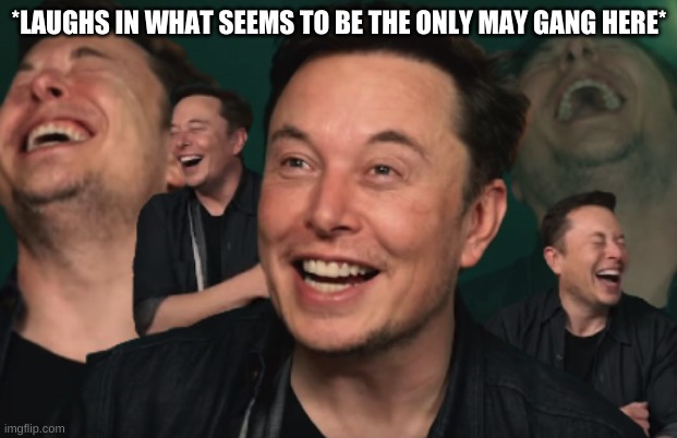 Elon Musk Laughing | *LAUGHS IN WHAT SEEMS TO BE THE ONLY MAY GANG HERE* | image tagged in elon musk laughing | made w/ Imgflip meme maker