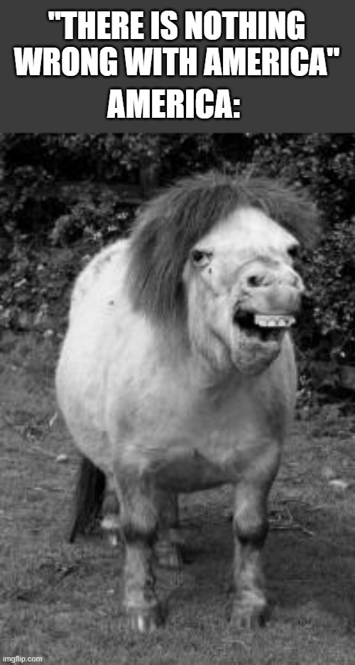 ugly horse | "THERE IS NOTHING WRONG WITH AMERICA" AMERICA: | image tagged in ugly horse | made w/ Imgflip meme maker