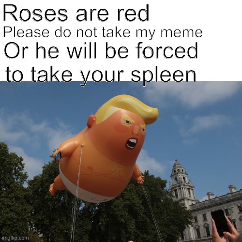 Baby trump balloon | Roses are red; Please do not take my meme; Or he will be forced to take your spleen | image tagged in donald trump | made w/ Imgflip meme maker