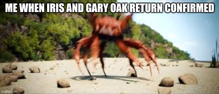 YES THEY ARE BACK BOIS LETS GO! | ME WHEN IRIS AND GARY OAK RETURN CONFIRMED | image tagged in crab rave | made w/ Imgflip meme maker