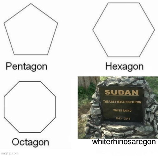 Pentagon Hexagon Octagon Meme | whiterhinosaregon | image tagged in memes,pentagon hexagon octagon,rhino,dark humor,funny | made w/ Imgflip meme maker