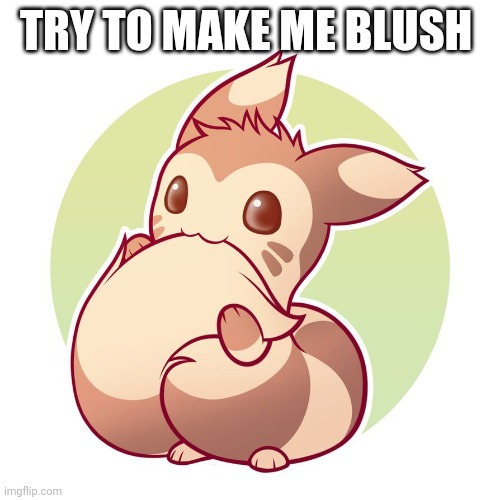 Cute ferret | TRY TO MAKE ME BLUSH | image tagged in cute ferret | made w/ Imgflip meme maker