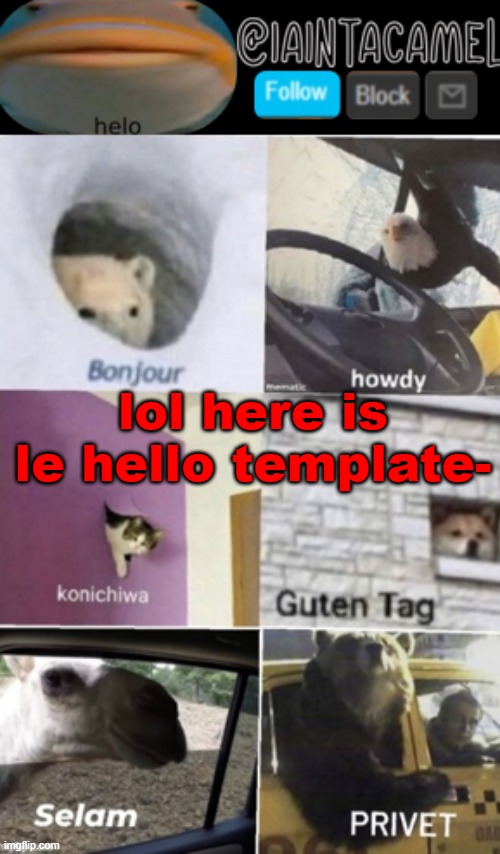 iaintacamel | lol here is le hello template- | image tagged in iaintacamel | made w/ Imgflip meme maker