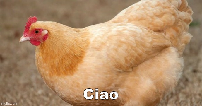 Ciao | made w/ Imgflip meme maker