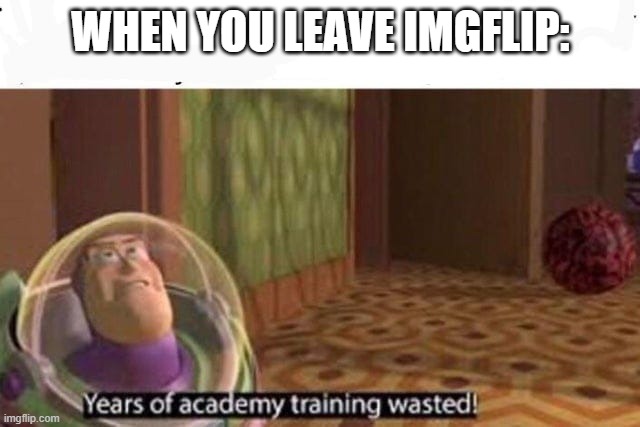 its true doe | WHEN YOU LEAVE IMGFLIP: | image tagged in years of academy training wasted,you read the tags,good job | made w/ Imgflip meme maker