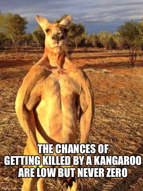 THE CHANCES OF GETTING KILLED BY A KANGAROO ARE LOW BUT NEVER ZERO | image tagged in memes,funny,kangaroo | made w/ Imgflip meme maker
