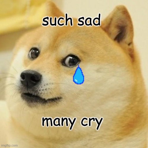 sad doggo | such sad; many cry | image tagged in memes,doge | made w/ Imgflip meme maker