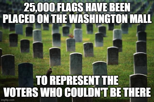 graveyard cemetary | 25,000 FLAGS HAVE BEEN PLACED ON THE WASHINGTON MALL; TO REPRESENT THE VOTERS WHO COULDN'T BE THERE | image tagged in graveyard cemetary | made w/ Imgflip meme maker
