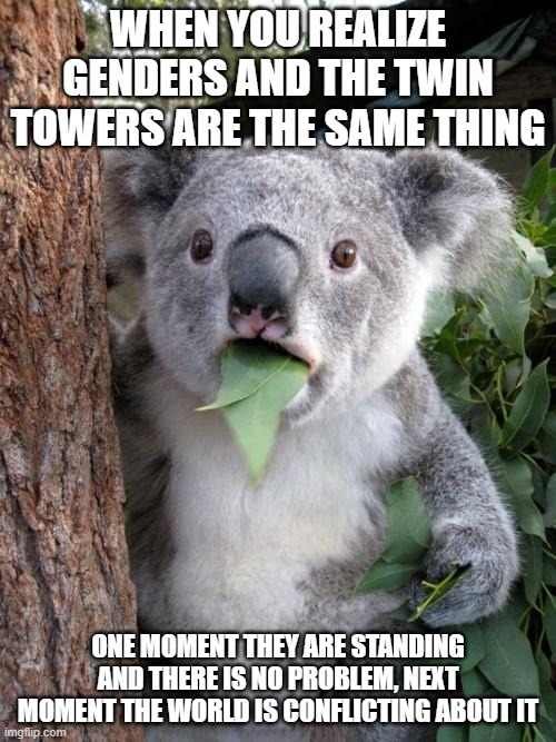 Surprised Koala | WHEN YOU REALIZE GENDERS AND THE TWIN TOWERS ARE THE SAME THING; ONE MOMENT THEY ARE STANDING AND THERE IS NO PROBLEM, NEXT MOMENT THE WORLD IS CONFLICTING ABOUT IT | image tagged in memes,surprised koala | made w/ Imgflip meme maker