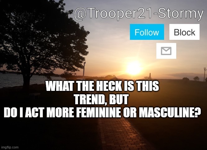 I mean I already know the answer but yeah | WHAT THE HECK IS THIS TREND, BUT 
DO I ACT MORE FEMININE OR MASCULINE? | image tagged in trooper21-stormy | made w/ Imgflip meme maker