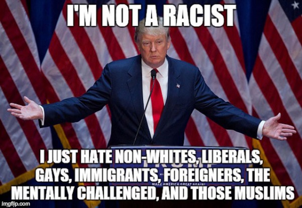 Trump be like... | image tagged in donald trump is an idiot,that's racist,memes,so true | made w/ Imgflip meme maker