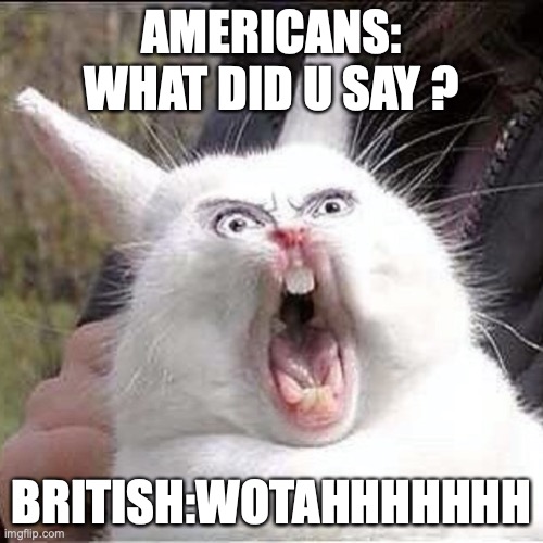 POV: ur H0rny lol | AMERICANS: WHAT DID U SAY ? BRITISH:WOTAHHHHHHH | image tagged in pie charts | made w/ Imgflip meme maker