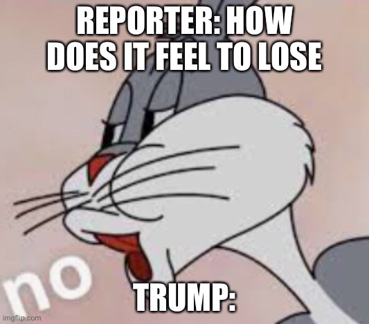 No | REPORTER: HOW DOES IT FEEL TO LOSE; TRUMP: | image tagged in donald trump is an idiot | made w/ Imgflip meme maker