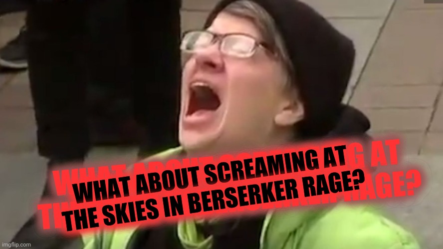 Screaming Liberal  | WHAT ABOUT SCREAMING AT THE SKIES IN BERSERKER RAGE? WHAT ABOUT SCREAMING AT THE SKIES IN BERSERKER RAGE? | image tagged in screaming liberal | made w/ Imgflip meme maker