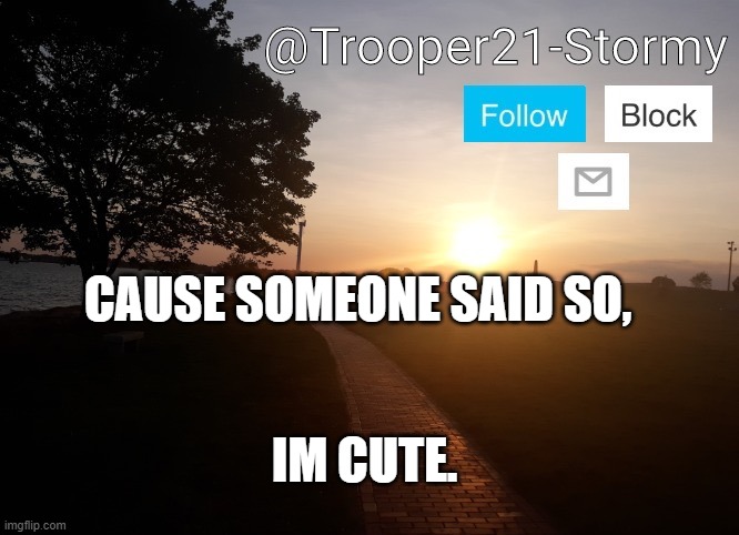 This is torture | CAUSE SOMEONE SAID SO, IM CUTE. | image tagged in trooper21-stormy | made w/ Imgflip meme maker