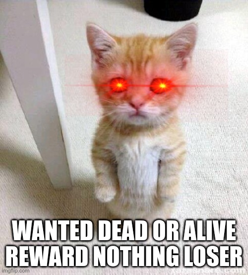 Cute Cat Meme | WANTED DEAD OR ALIVE
REWARD NOTHING LOSER | image tagged in memes,cute cat | made w/ Imgflip meme maker