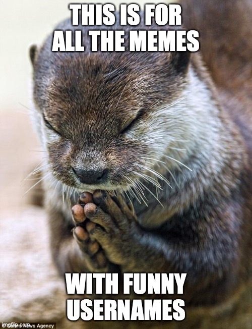For all the memers | THIS IS FOR ALL THE MEMES; WITH FUNNY USERNAMES | made w/ Imgflip meme maker