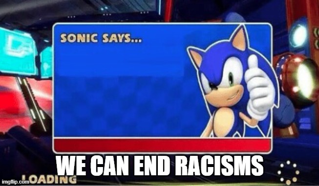 Sonic Says | WE CAN END RACISMS | image tagged in sonic says | made w/ Imgflip meme maker