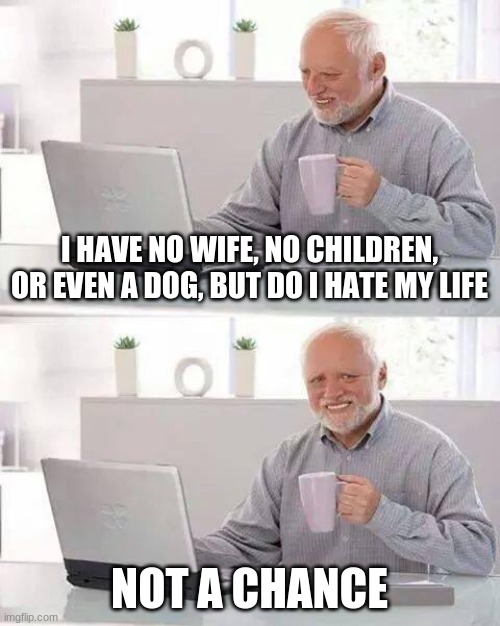 PJ in the future from Good Luck Charlie | I HAVE NO WIFE, NO CHILDREN, OR EVEN A DOG, BUT DO I HATE MY LIFE; NOT A CHANCE | image tagged in memes,hide the pain harold | made w/ Imgflip meme maker