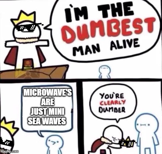 -_- |  MICROWAVE'S ARE JUST MINI SEA WAVES | image tagged in you're clearly dumber | made w/ Imgflip meme maker