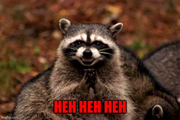 Evil Plotting Raccoon Meme | HEH HEH HEH | image tagged in memes,evil plotting raccoon | made w/ Imgflip meme maker