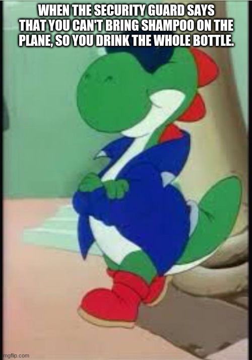 Smort | WHEN THE SECURITY GUARD SAYS THAT YOU CAN'T BRING SHAMPOO ON THE PLANE, SO YOU DRINK THE WHOLE BOTTLE. | image tagged in gangster yoshi | made w/ Imgflip meme maker