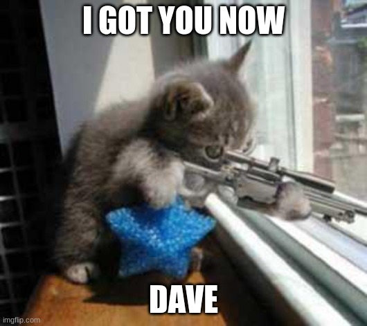 CatSniper | I GOT YOU NOW; DAVE | image tagged in catsniper | made w/ Imgflip meme maker
