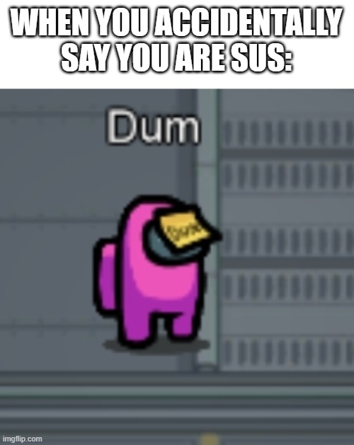 Among Us Dum | WHEN YOU ACCIDENTALLY SAY YOU ARE SUS: | image tagged in among us dum,among us | made w/ Imgflip meme maker